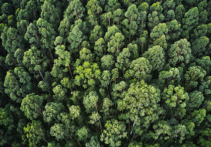 Environmentally responsible approach